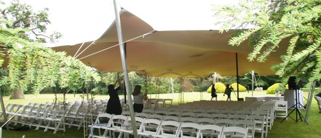 ceremony stretch tens